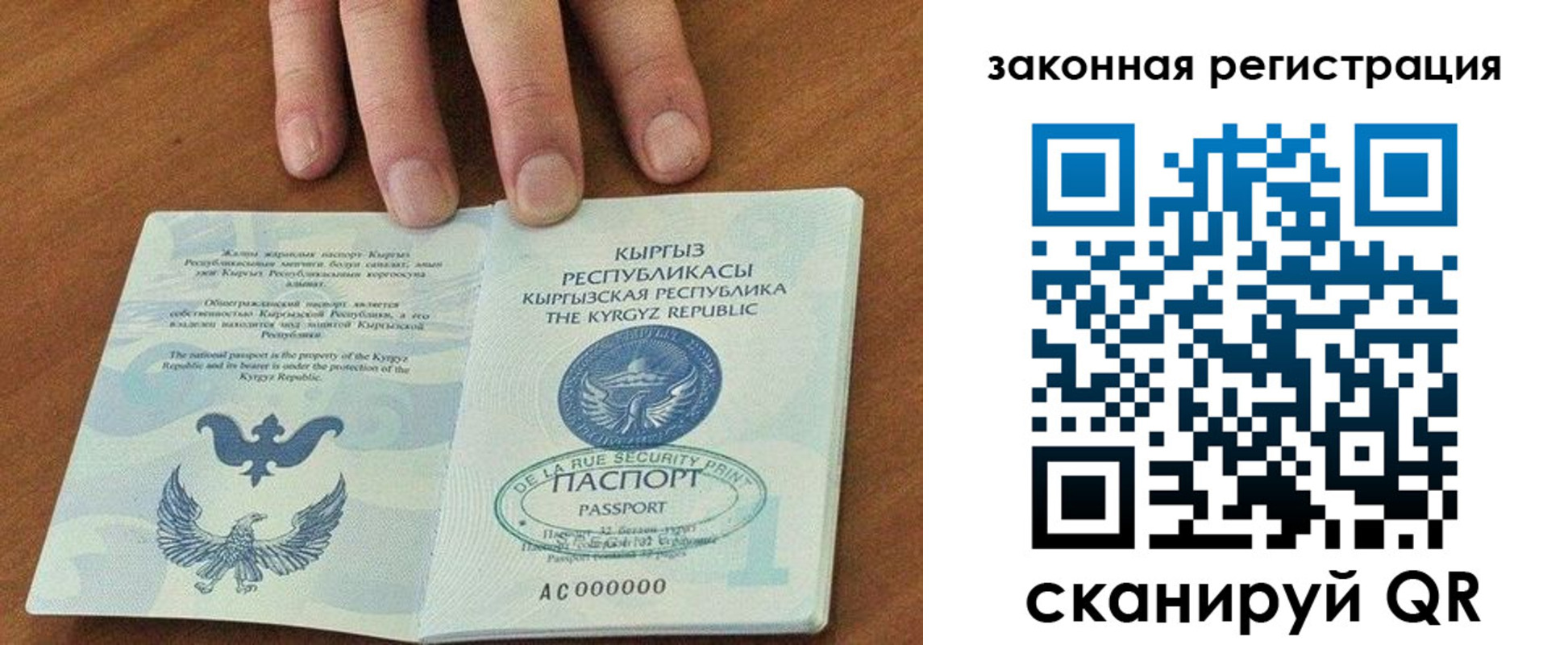 прописка гарантия в Емве